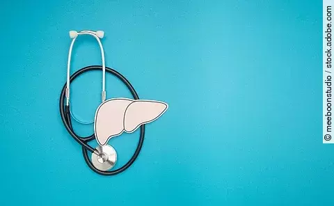 Stethoskop und Leber aus Papier