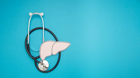 A stethoscope and liver shape made of paper are over a blue background Stethoskop und Leber aus Papier