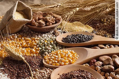 Hülsenfrüchte, Vollkorn und Weizen in Holzschalen