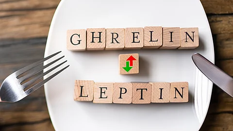 Symbolbild: Wechselwirkung von Ghrelin und Leptin