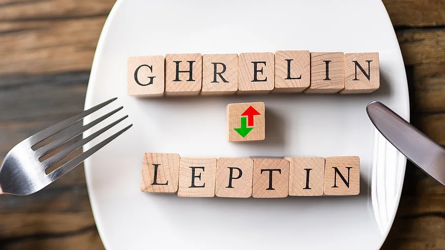 Symbolbild: Wechselwirkung von Ghrelin und Leptin