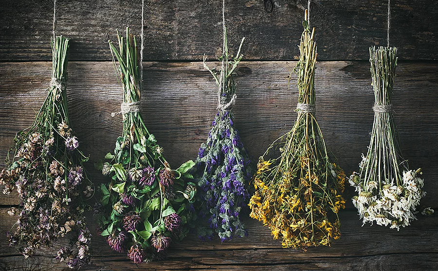 Fünf Trockensträuße mit violetten, rosafarbenen, blauen, gelben und weißen Blüten hängen kopfüber vor einer Holzwand.