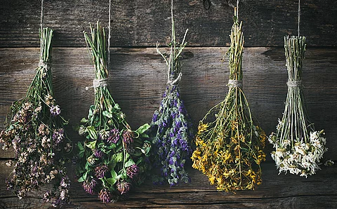 Fünf Trockensträuße mit violetten, rosafarbenen, blauen, gelben und weißen Blüten hängen kopfüber vor einer Holzwand.  