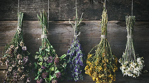 Fünf Trockensträuße mit violetten, rosafarbenen, blauen, gelben und weißen Blüten hängen kopfüber vor einer Holzwand.  
