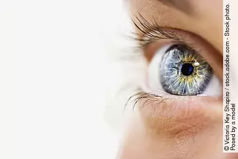 Nahaufnahme von einem blauen Auge.