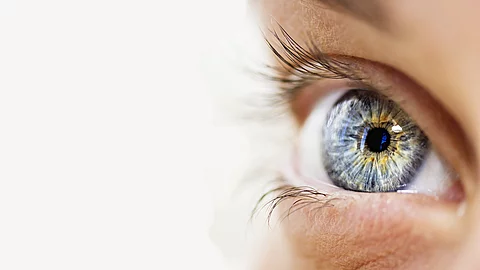 Nahaufnahme von einem blauen Auge.