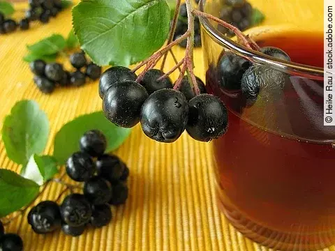 Aroniasaft und frische Aroniabeeren auf gelbem Untergrund. 