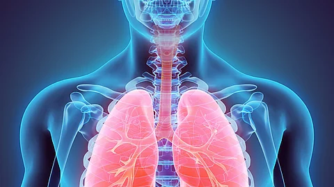 3D illustration of Lungs, medical concept. Illustration: Oberkörper mit Lunge