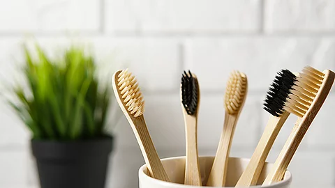 Zahnbürsten aus Bambus in einem Becher