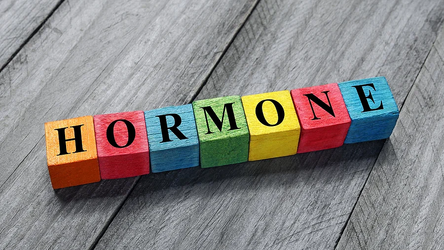 Bunte Scrabblewürfel mit dem Wort Hormone Bunte Scrabblewürfel mit dem Wort Hormone