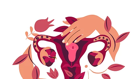 Illustration eines weiblichen Zyklus mit Händen vor einem Uterus