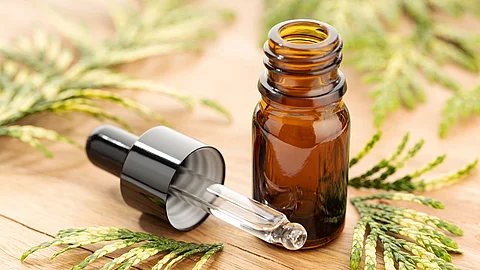 Braunfläschchen für ätherisches Öl, Zypressenzweige