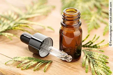 Braunfläschchen für ätherisches Öl, Zypressenzweige