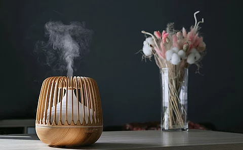 Heilpflanzen, Vernebler, Diffusor, Raum, Heizen