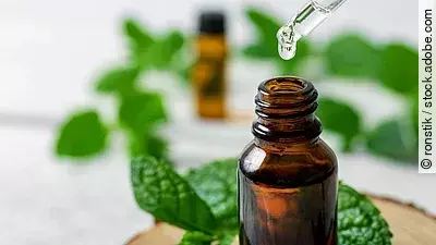 Frische Pfefferminzblätter und Braunfläschchen mit Pfefferminzöl auf einem Holzteller