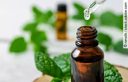 Frische Pfefferminzblätter und Braunfläschchen mit Pfefferminzöl auf einem Holzteller