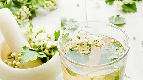 Hawthorn on wood Weißdornblüten, Stößel und ein Glas mit Weißdornwasser