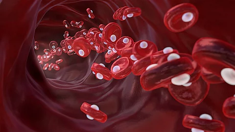 Red blood cells with oxygen molecules, oxygen rich blood, erythr rote Blutkörperchen und Sauerstoff im Blutgefäß