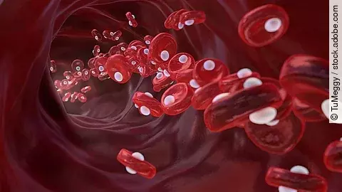rote Blutkörperchen und Sauerstoff im Blutgefäß