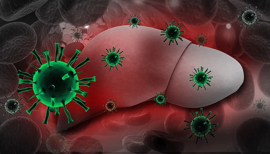 Illustration: Leber umgeben von Hepatitisviren Illustration: Leber umgeben von Hepatitisviren