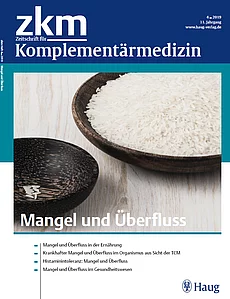 zkm Cover 4/2019