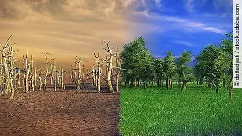 climate change crisis, global warming impact on nature Klimawandel, globale Erwärmung, Wüste und grüne Landschaft