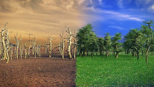 Klimawandel, globale Erwärmung, Wüste und grüne Landschaft
