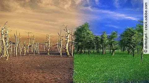 Klimawandel, globale Erwärmung, Wüste und grüne Landschaft