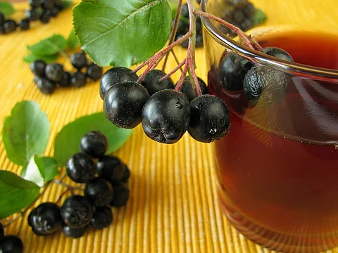 Auf einem gelben Untergrund steht ein Glas mit rötlichem Aroniasaft. Es ist dekoriert mit frischen Aroniabeeren.