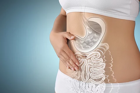 Bauch einer Frau, aufgemaltes Verdauungssystem