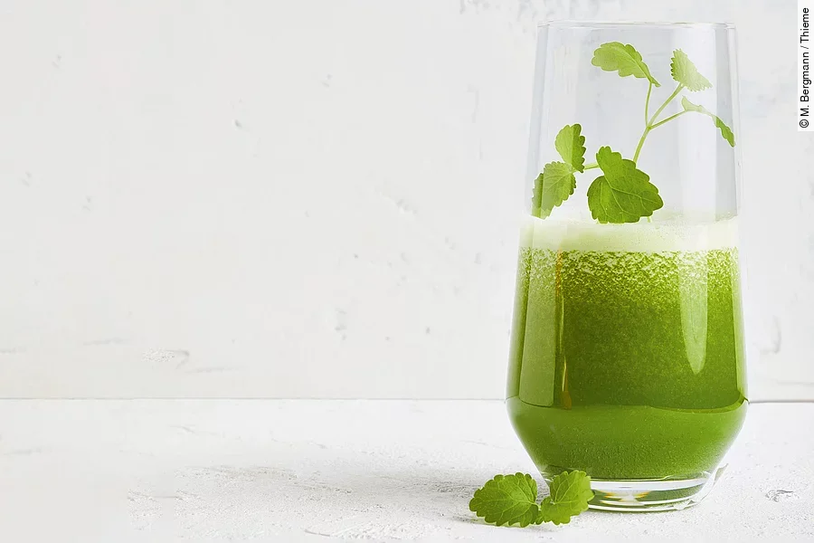 Grüner Saft „Basic"