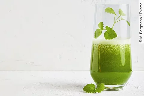 Grüner Saft „Basic"