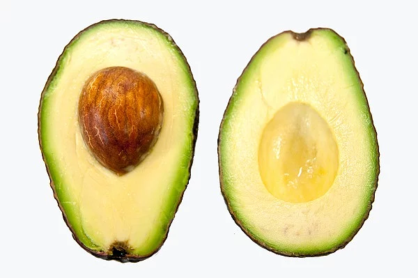 Avocado aufgeschnitten Avocado aufgeschnitten