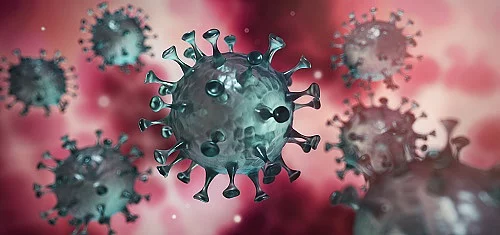 Corona Virus im Inneren des Körpers - Wuhan Virus Corona-Virus, Illustration