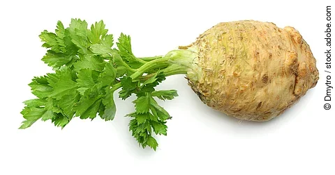 Selleriewurzel mit Blättern, freigestellt vor weißem Hintergrund