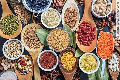 Zusammenstellung verschiedener Hülsenfrüchte.