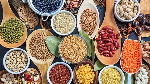 Zusammenstellung verschiedener Hülsenfrüchte.