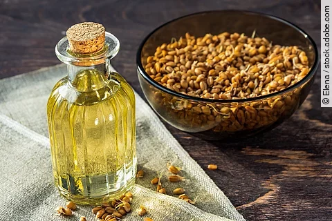 Weizenkeime und Weizenkeimöl in einer Glasflasche