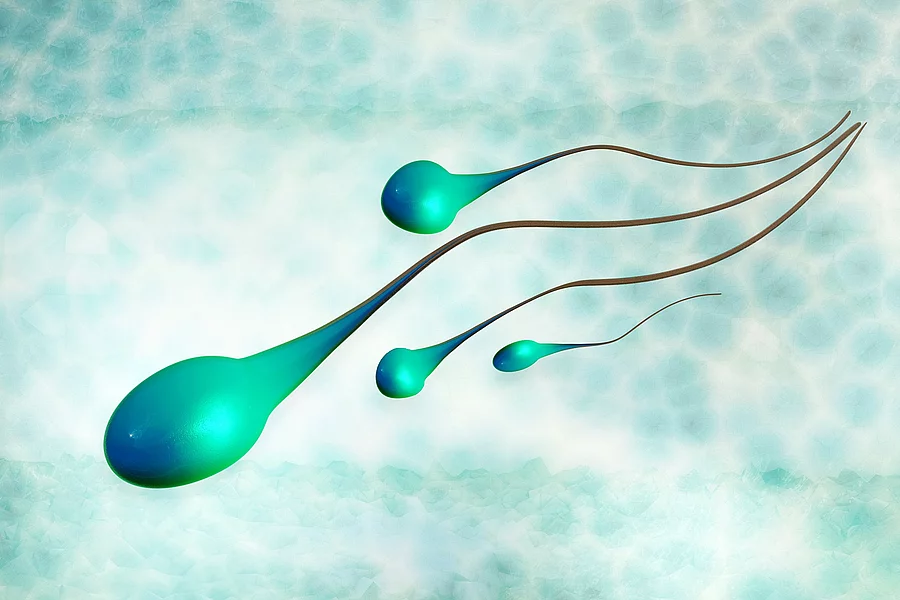 Spermien - 3D Render 3D animierte Spermien