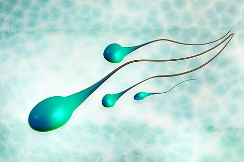 3D animierte Spermien