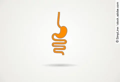 Illustration: Magen und Darm