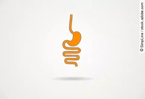 Illustration: Magen und Darm