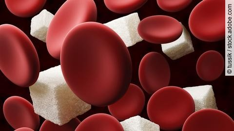 Illustration: Würfelzucker und Blutzellen