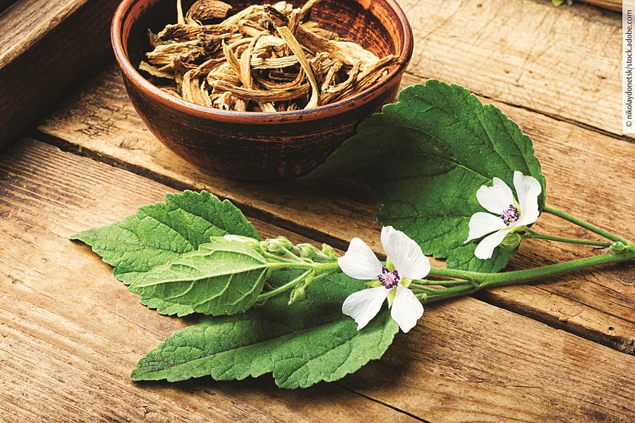 Getrocknete Heilkräuter in einer Schale.