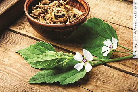 Getrocknete Heilkräuter in einer Schale.