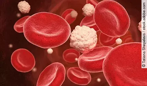 Illustration: Blutzellen und Glukose, Cholesterin
