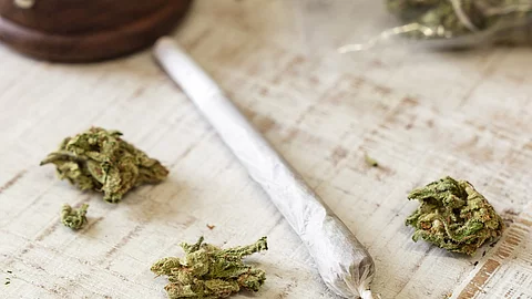 Cannabisblüten und gedrehter Joint auf einem Tischtuch