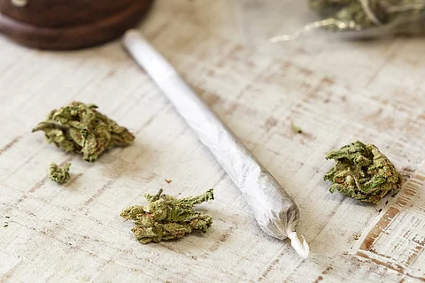 Cannabisblüten und gedrehter Joint auf einem Tischtuch