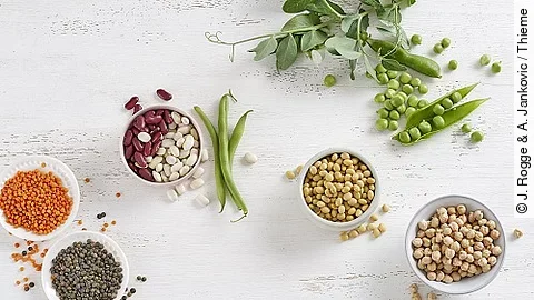 Hülsenfrüchte, Linsen, Erbsen, Kichererbsen, rote Bohnen