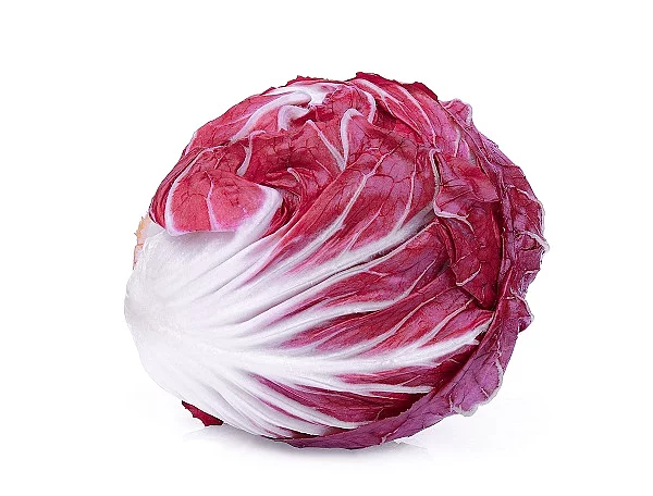 Radicchio vor weißem Hintergrund